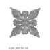 FLOR 535 BRUTO